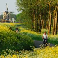 Travel the Dutch countryside the way the locals do | NBTC