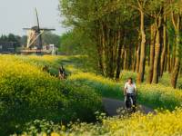 Travel the Dutch countryside the way the locals do |  <i>NBTC</i>