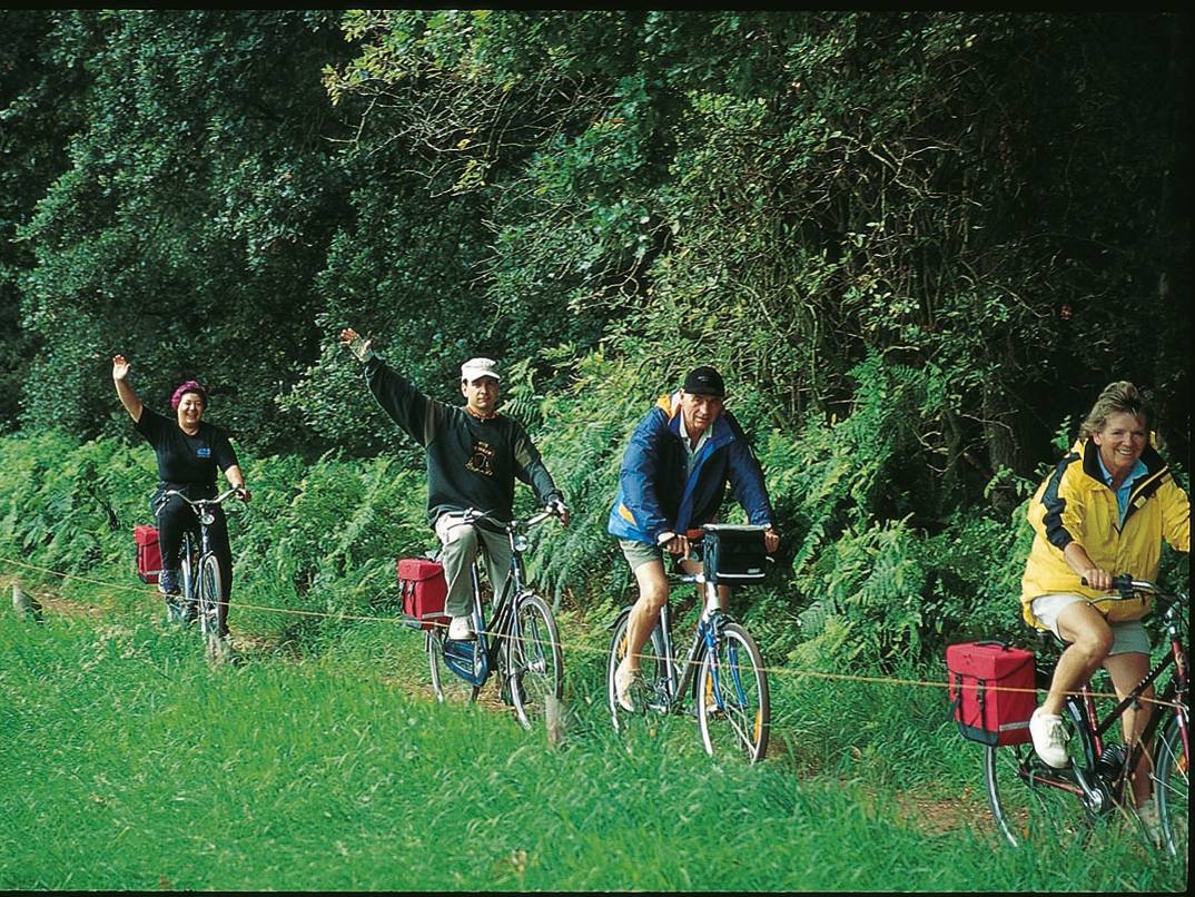 Cycling in the beautiful Dutch countryside