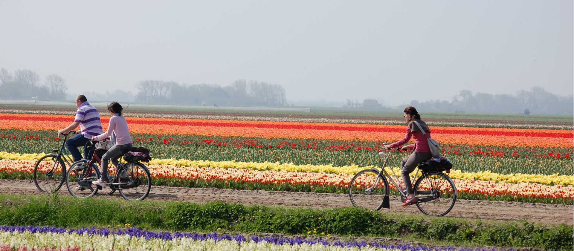 Discover Holland by bike