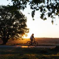 Use an e-bike on a cycling holiday in the Netherlands | Jan Bijl Fotografie