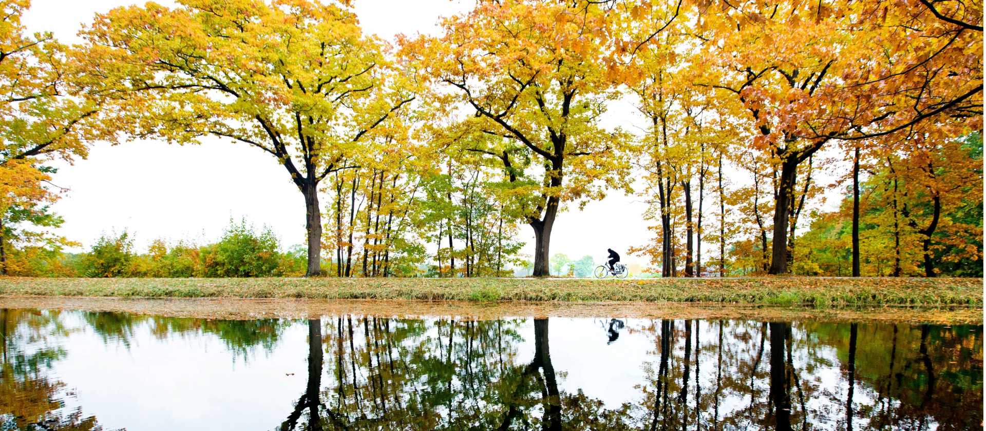 A man cycles along the Apeldoorns Canal under a colorful canopy. | Hollandse Hoogte