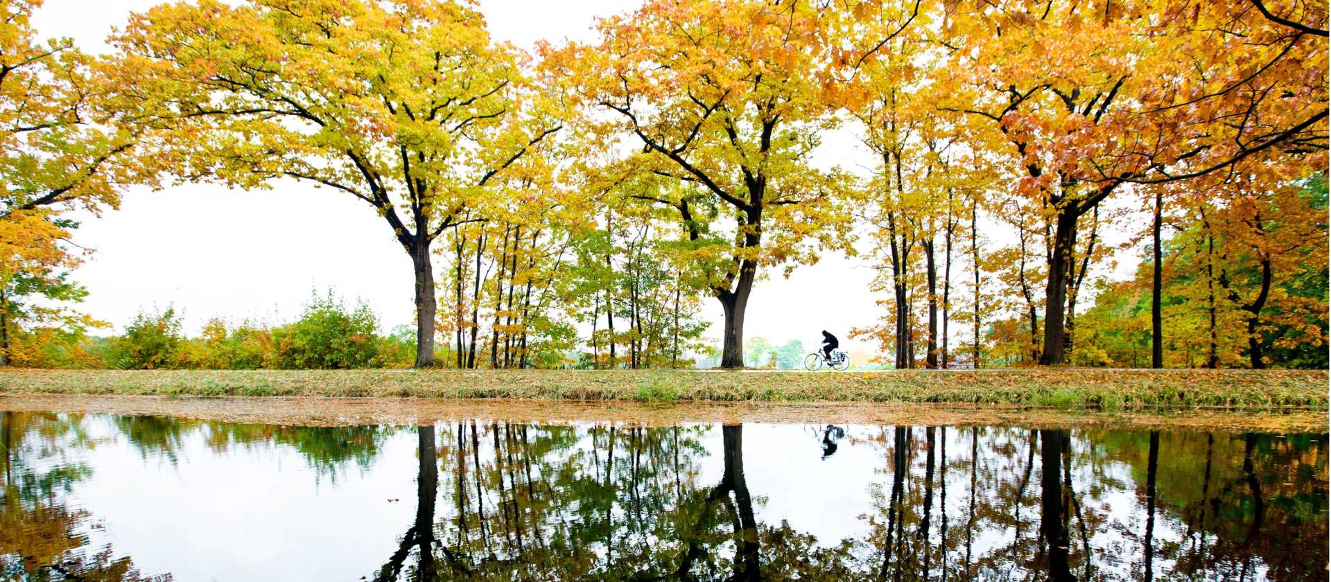 A man cycles along the Apeldoorns Canal under a colorful canopy. | Hollandse Hoogte