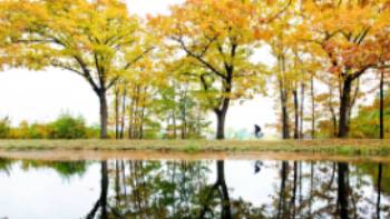 A man cycles along the Apeldoorns Canal under a colorful canopy. | Hollandse Hoogte