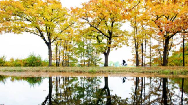 A man cycles along the Apeldoorns Canal under a colorful canopy. | Hollandse Hoogte