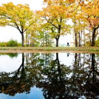 A man cycles along the Apeldoorns Canal under a colorful canopy. | Hollandse Hoogte