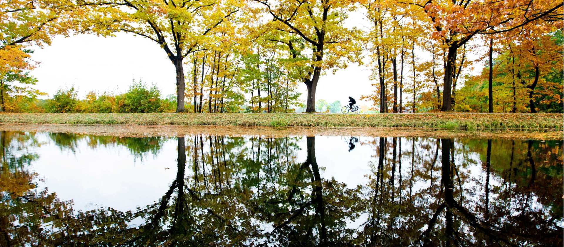 A man cycles along the Apeldoorns Canal under a colorful canopy. | Hollandse Hoogte