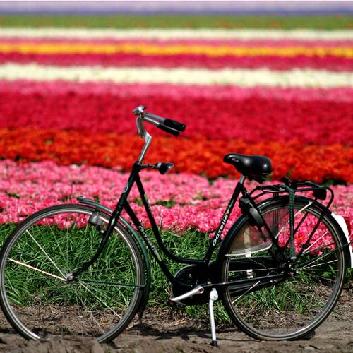 bike tour in holland