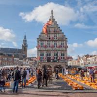 The Gouda cheese market