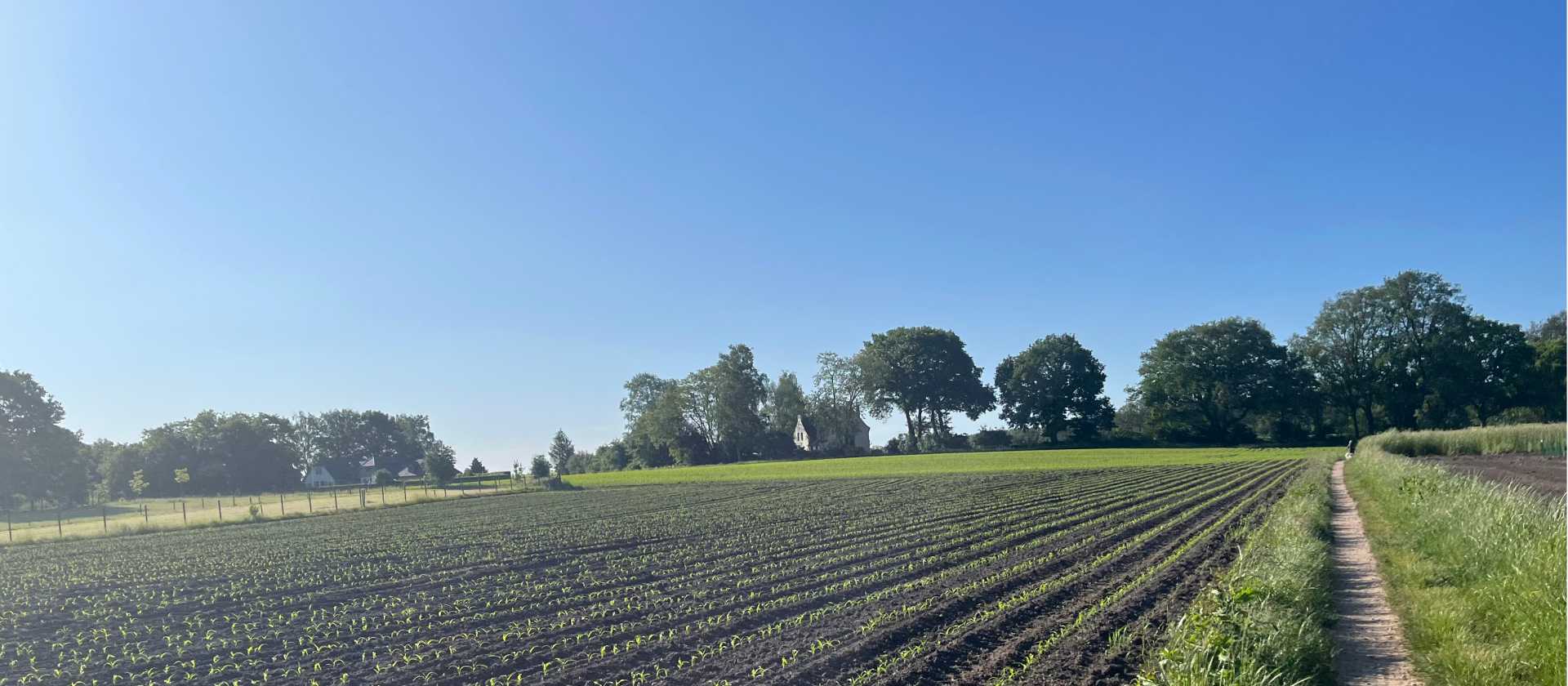 Walking alongside farmers fields
