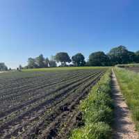 Walking alongside farmers fields