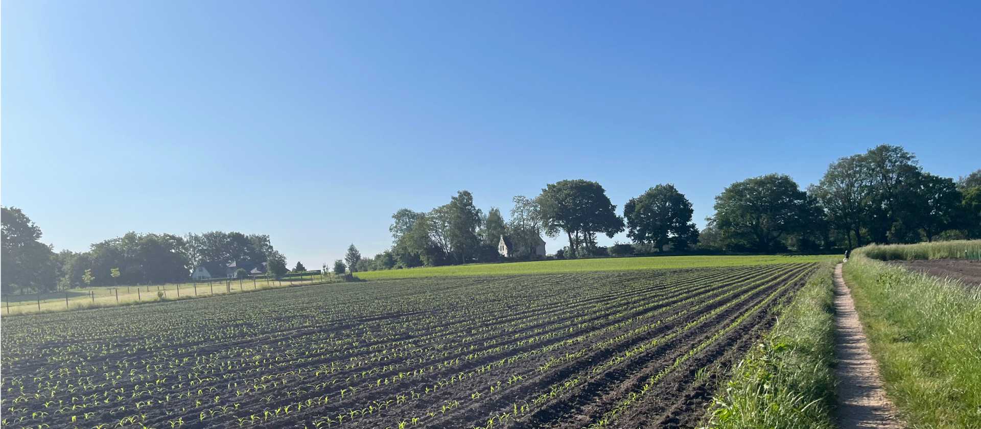 Walking alongside farmers fields
