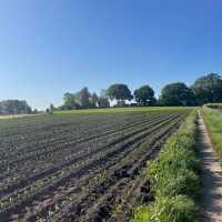 Walking alongside farmers fields
