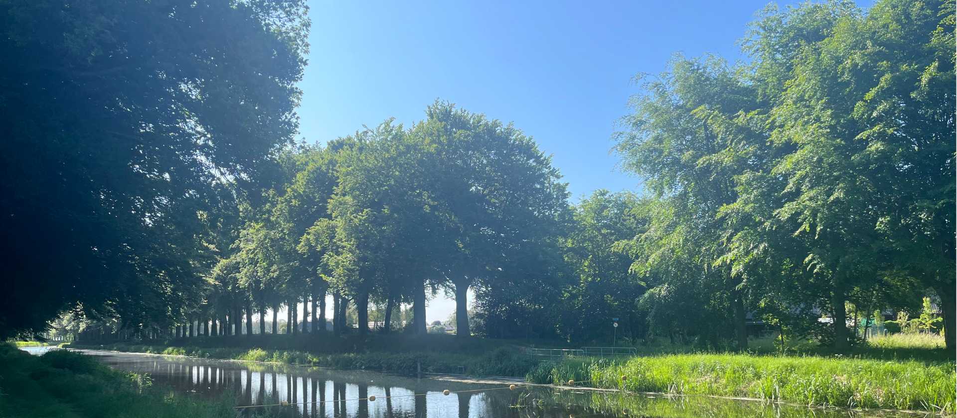 Walking the canal between Holten and Laren