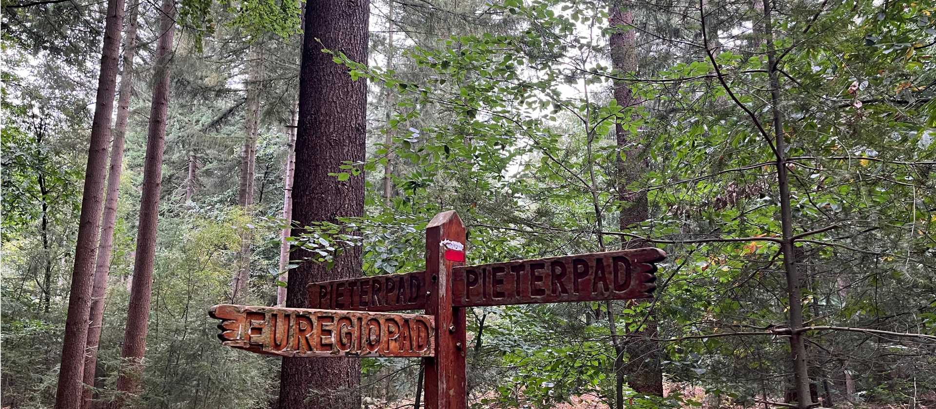 Signpost on the Pieterpad