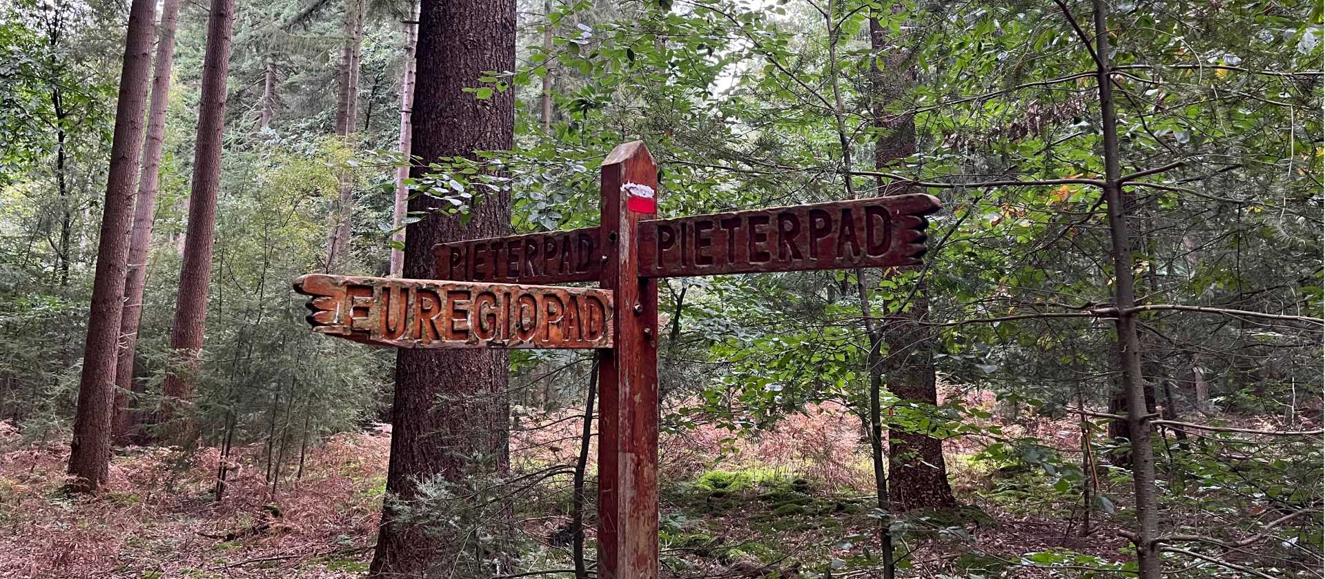 Signpost on the Pieterpad
