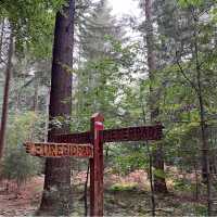 Signpost on the Pieterpad