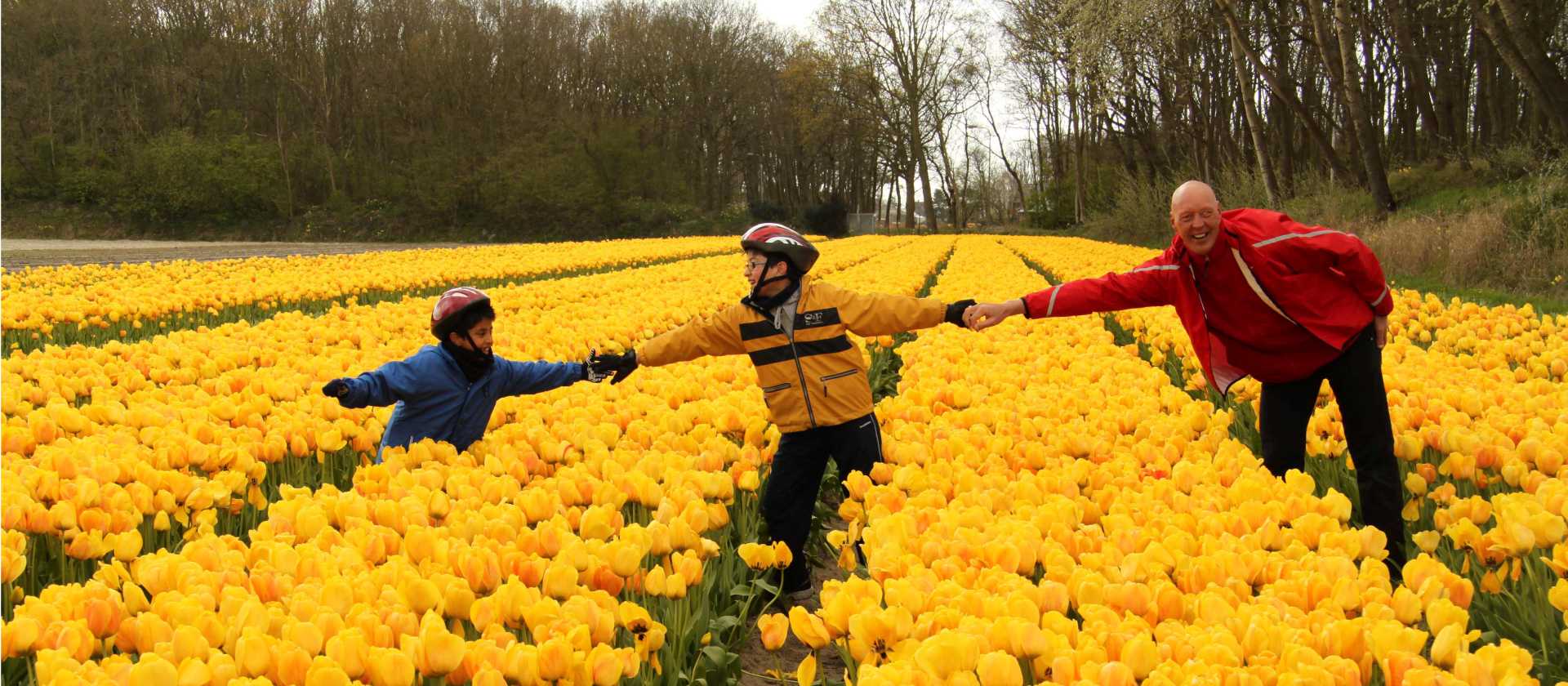 Experience the tulips during Spring when they are in bloom | Richard Tulloch