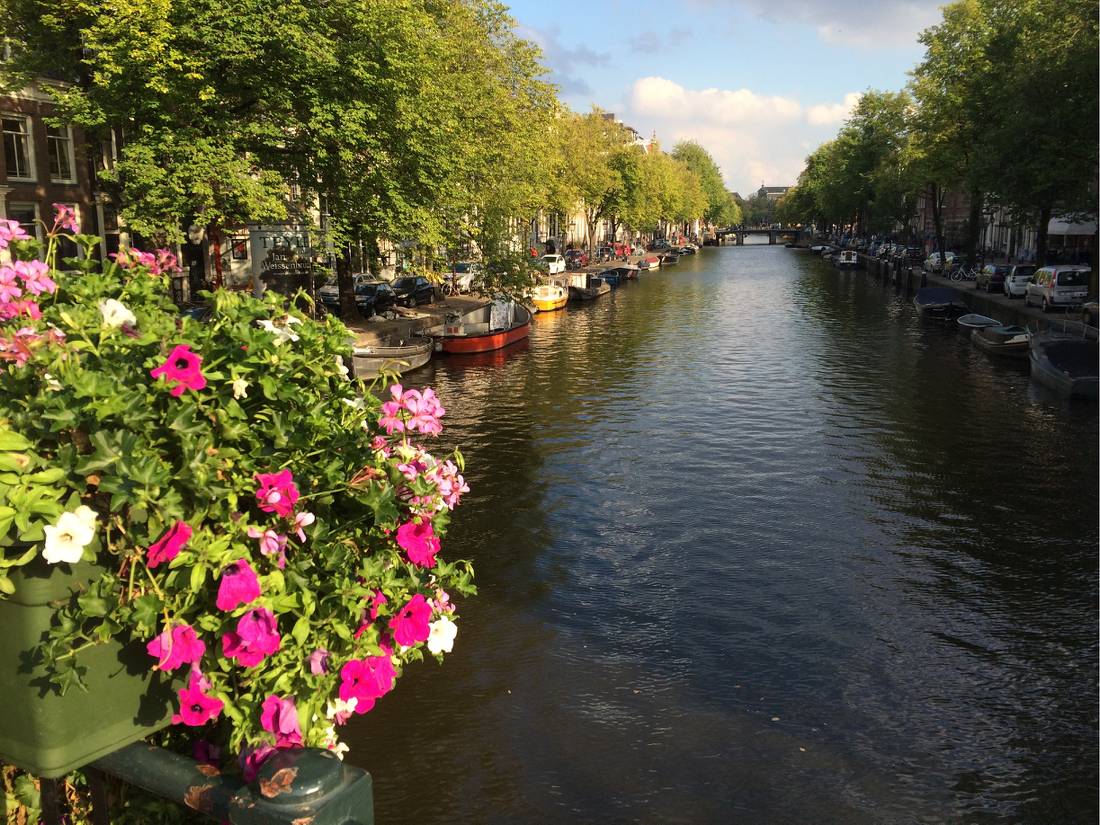 Canal in Amsterdam |  <i>Hilary Delbridge</i>