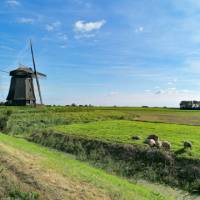Classic Dutch scenes in northern Holland