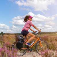 Have fun on a cycling holiday in Holland