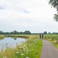 Explore Holland's pleasant countryside by bike