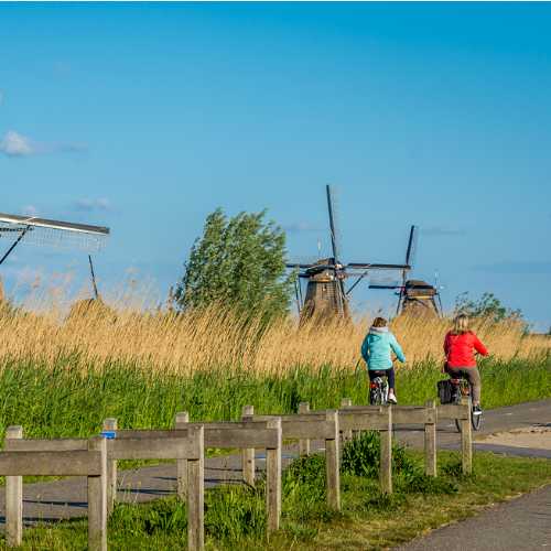 Cycle by windmills in the Kinderdijk
