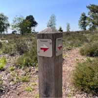 Walk the Pieterpad Trail in Holland
