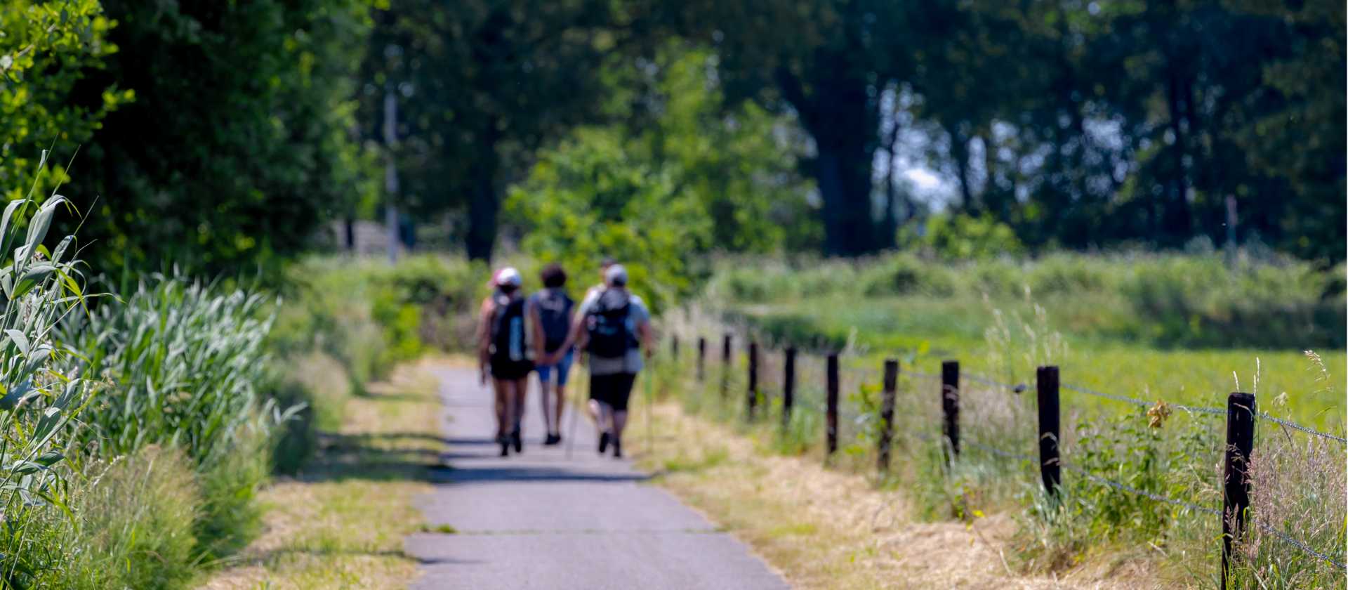 Walk the Pieterpad Trail in Holland