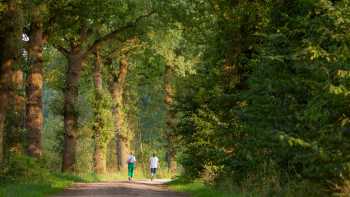 Forest paths on Pieterpad Trail in Holland