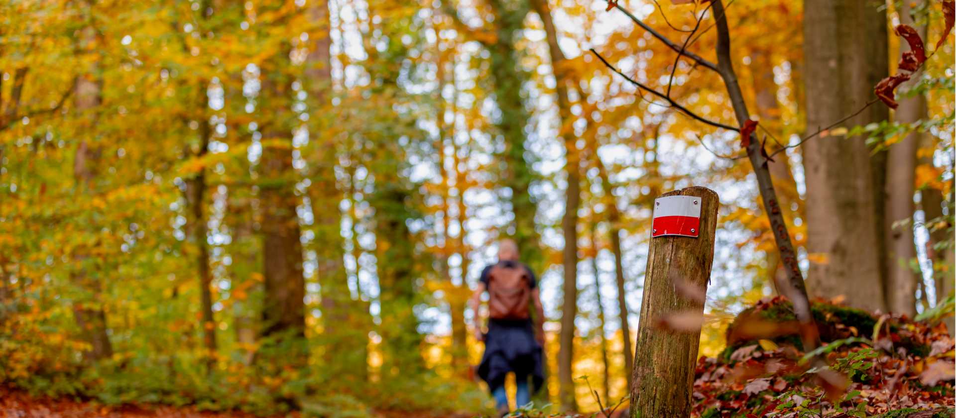 Walk the Pieterpad Trail in Holland