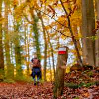 Walk the Pieterpad Trail in Holland