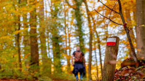 Walk the Pieterpad Trail in Holland
