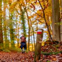 Walk the Pieterpad Trail in Holland