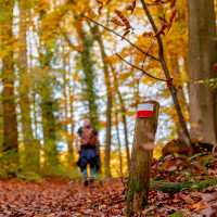 Walk the Pieterpad Trail in Holland