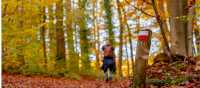 Walk the Pieterpad Trail in Holland