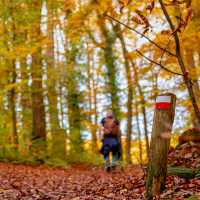 Walk the Pieterpad Trail in Holland