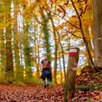 Walk the Pieterpad Trail in Holland
