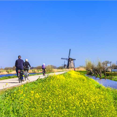 Ride by traditional Dutch windmills in Kinderdijk