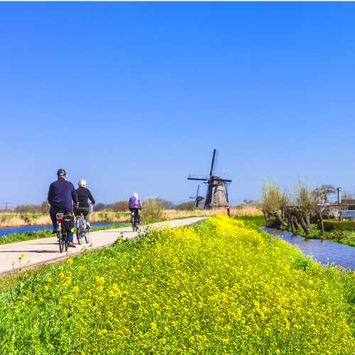 Ride by traditional Dutch windmills in Kinderdijk