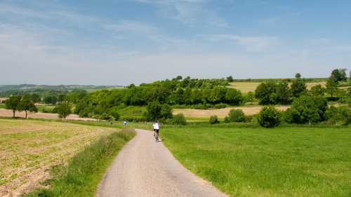 Cycling through Limburg on the Pieterpad Camino