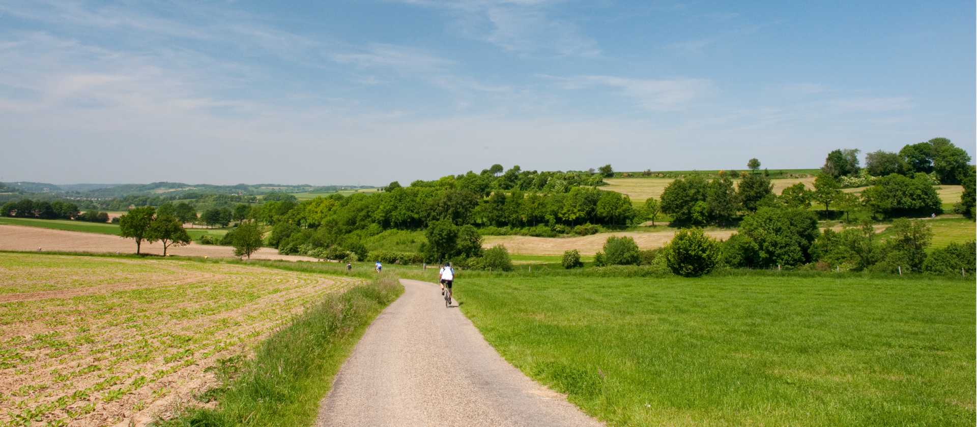 Cycling through Limburg on the Pieterpad Camino
