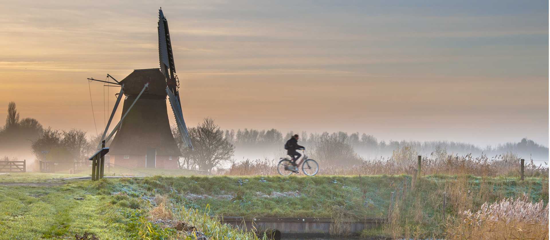Cycling through a foggy morning in the Netherlands