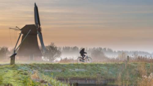 Cycling through a foggy morning in the Netherlands