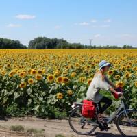 Cycling past a field of sunflowers in Hungary | Lilly Donkers