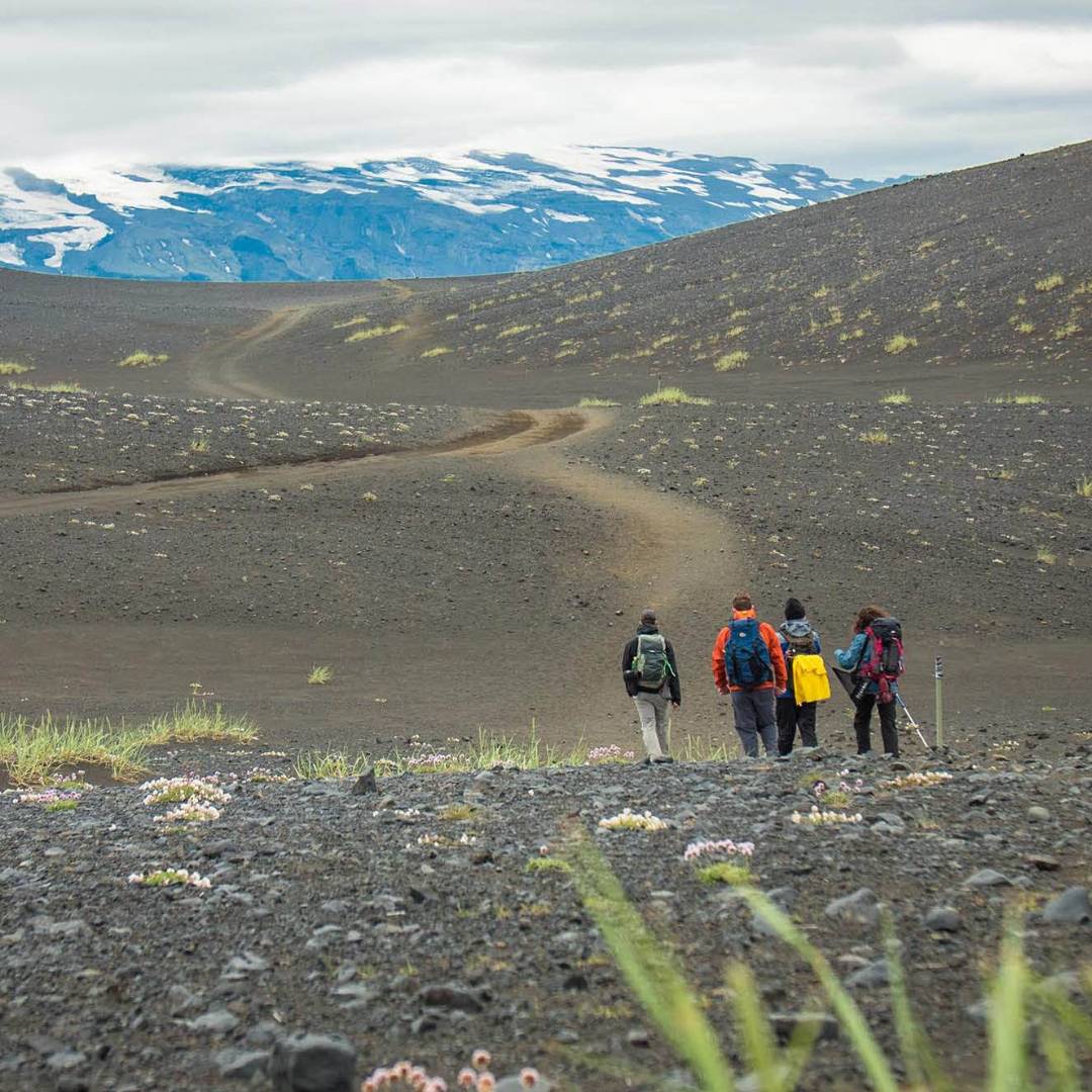 Experience the dramatic landscapes and natural beauty of the Laugavegur Trail in Iceland