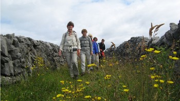 walking tour of ireland