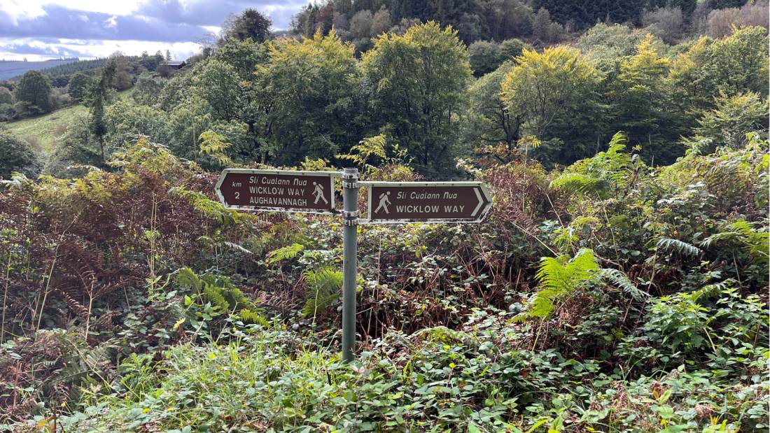 Signpost on the Wicklow Way in Ireland |  <i>Melodie Theberge</i>