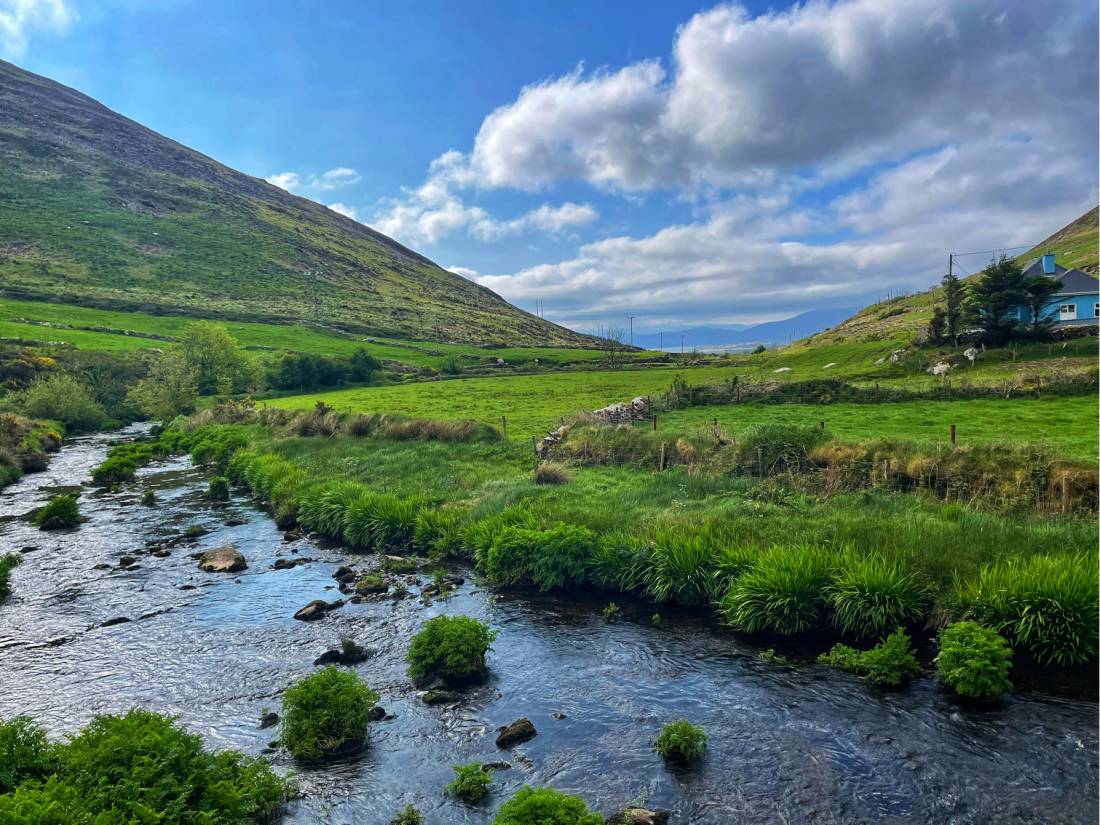 Gorgeous Irish scenery on the Kerry Camino |  <i>Sue Finn</i>