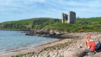 Watching dolphins from Kilmurry Bay (Bay of Stones) | Sue Finn